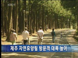 제주 자연휴양림 방문객 대폭 늘어
