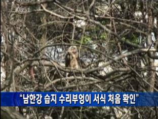 “남한강 습지 수리부엉이 서식 처음 확인”