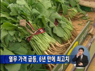 열무 가격 급등…6년 만에 최고치