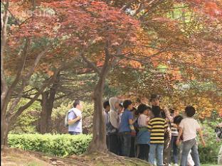 푸른 숲에서 ‘아토피·천식’ 치유하세요!