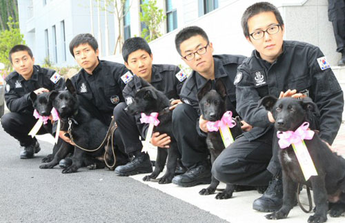복제된 경찰 탐지견