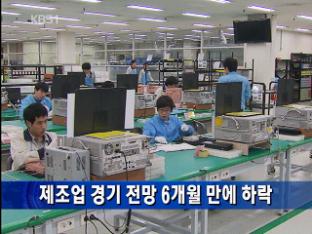 제조업 경기 전망 6개월 만에 하락