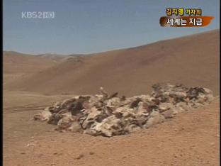 [세계는 지금] 몽골, 가축 집단 폐사 外