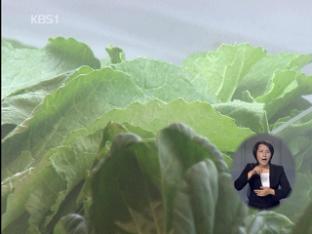 “유통 과일·채소 농약에 안전…지나친 세척 금물”