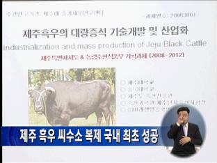제주 흑우 씨수소 복제 국내 최초 성공