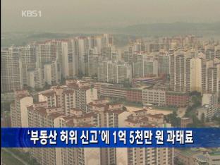 ‘부동산 허위 신고’ 1억 5천만 원 과태료