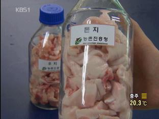 돼지기름, 바이오 연료로 ‘재탄생’