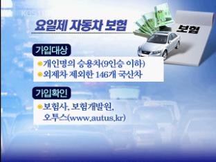 [눈높이 경제] 요일제 자동차 보험료 할인