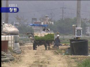 경남, 올 들어 첫 폭염주의보