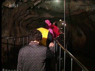 충북 단양지역 동굴 개장 시간 연장