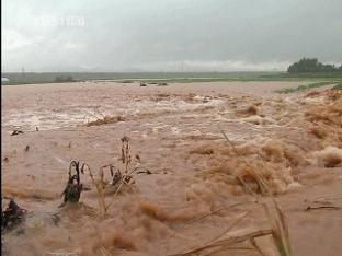 충남지역 기습 폭우, 침수·붕괴사고 속출