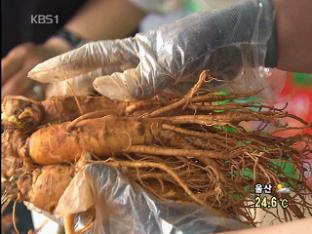 고려인삼, 기억력 개선에 효과