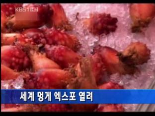 세계 멍게 엑스포 열려