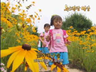 [뉴스광장 영상] 꽃과 친구들