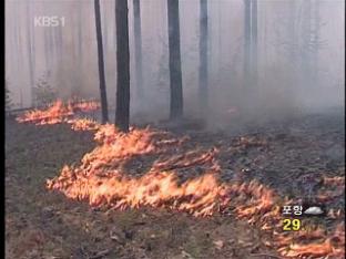 러시아, 40년 만에 최대 산불 피해
