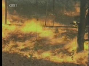 러시아, 40년 만에 최대 산불