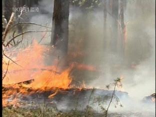 계속되는 폭염·가뭄에 ‘불타는 러시아’