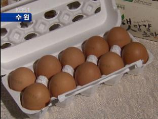 싱가포르에 계란 첫 수출…농산품 해외진출 호재