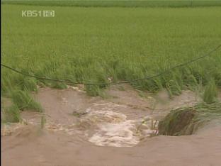 서해안 폭우…주택·농경지 침수 속출