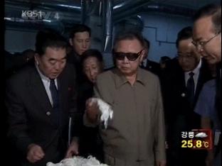 김정일, 건강 큰 이상 없는 듯