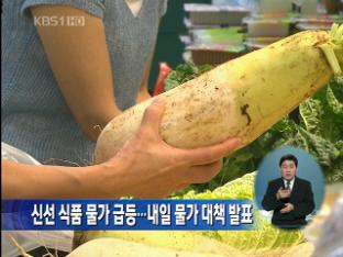신선 식품 물가 급등…내일 물가 대책 발표