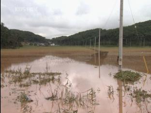 충남 태안 태풍에 폭우까지 ‘엎친데 덮친 격’