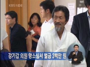 강기갑 의원, 항소심서 벌금 300만 원