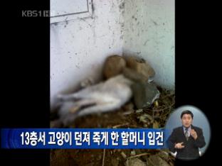 13층서 고양이 던져 죽게 한 할머니 입건