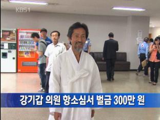 강기갑 의원, 항소심서 벌금 300만 원