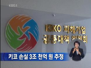 키코 손실 3조 천억 원 추정