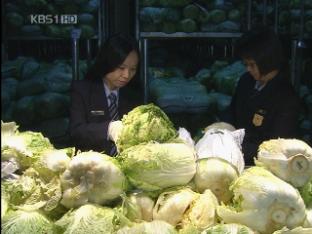 중국 배추 주말 유통…김장 대책 ‘막막’