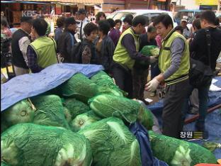 ‘30% 할인’ 배추 사기 전쟁…무값도 급등