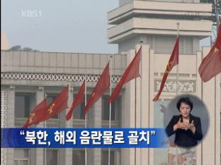 “북한, 해외 음란물로 골치”