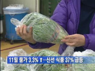 11월 물가 3.3% 증가…신선 식품 37% 급등