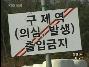 안동 구제역 예천까지 확산…인력·장비난 가중