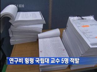 연구비 횡령 국립대 교수 5명 적발