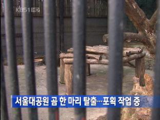 서울대공원 곰 한 마리 탈출…포획 작업 중