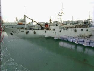 원양어선 남극서 침몰…20여 명 사망·실종