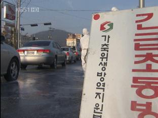 고양까지 구제역 확산…서울도 영향권