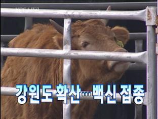 헤드라인