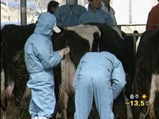 구제역 예방백신 오늘부터 접종 시작