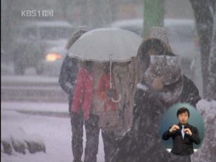 서해안 지역 많은 눈…여객선 운항 통제