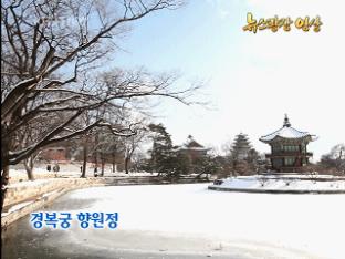 [뉴스광장 영상] 경복궁 향원정