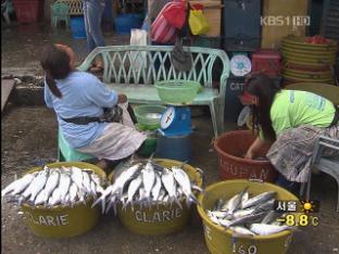 필리핀 생선가공공장 원조…자립 기반 마련