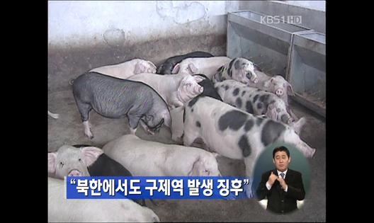 “북한에서도 구제역 발생 징후”