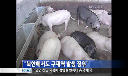 “북한에서도 구제역 발생 징후”