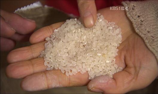 [단독] 기초생활 수급자에 ‘불량 쌀’ 공급