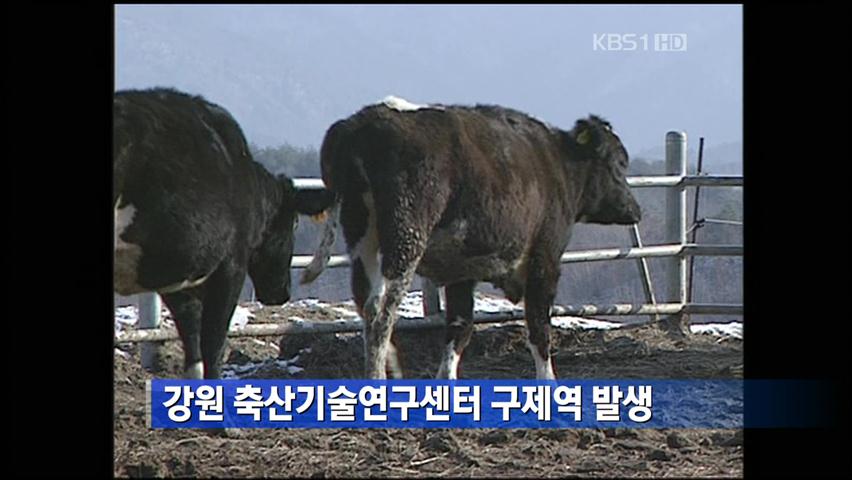 강원 축산기술연구센터 구제역 발생