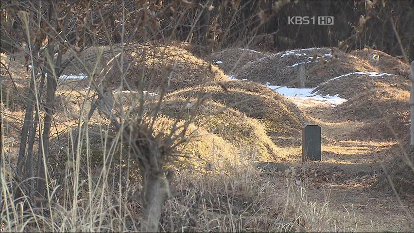 국립공원 내 묘지 4만7천여 기 이장 추진