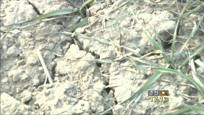 중국 곡창지대 대가뭄…농산물 생산 ‘비상’